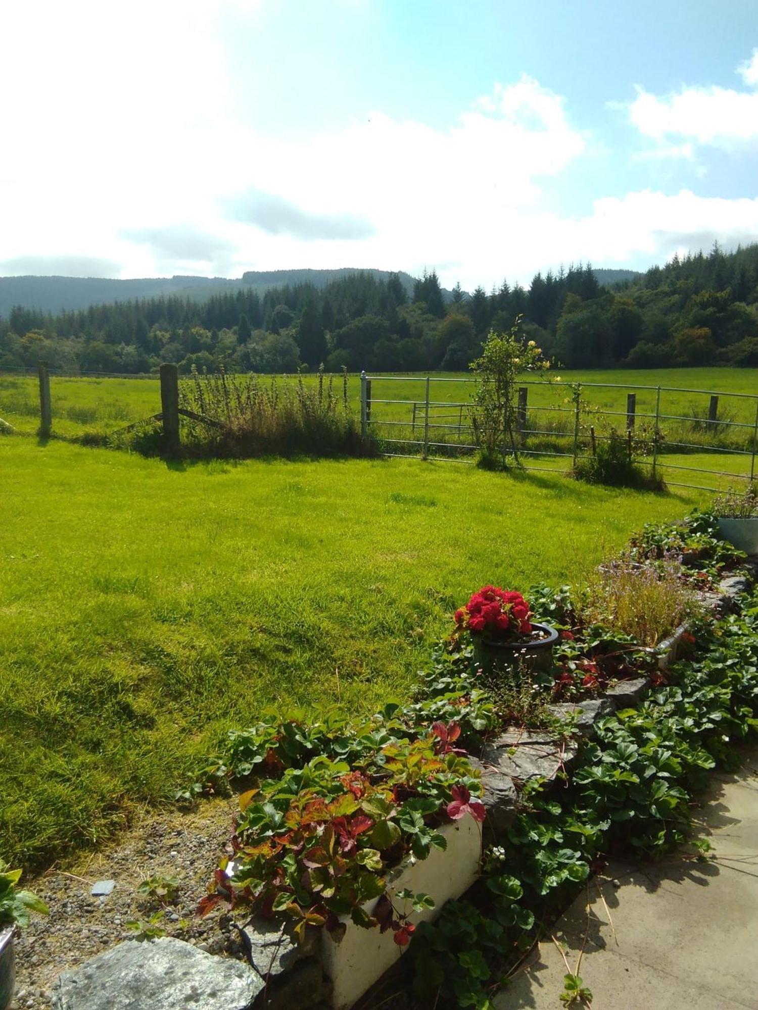 Auchnabreac Cottage Carradale Exterior foto